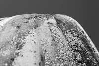 photographe pour l'illustration
